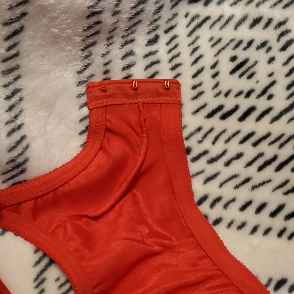 Red Bra - Picture 5 of 9